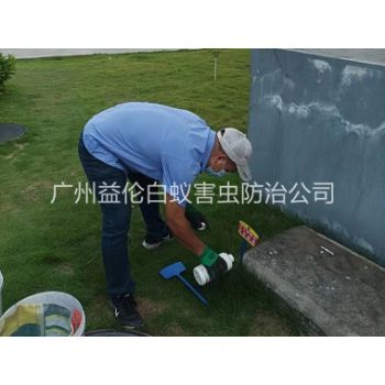 番禺灭除红火蚁工程